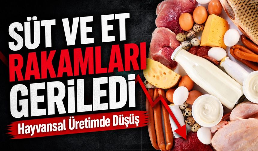 TÜİK Verileri Açıkladı: Süt ve Et Üretiminde Düşüş Yaşandı