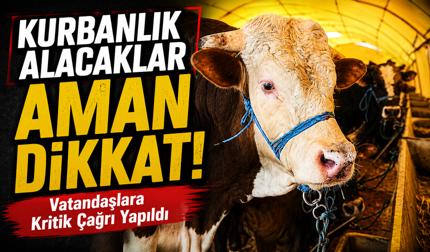 Kurbanlık Alacaklar Aman Dikkat!; Hayvan Pazarlarında Denetimler Artırıldı Vatandaşlara Kritik Çağrı Yapıldı