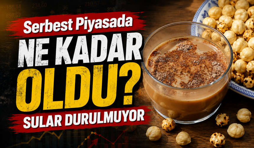 Karadeniz ekonomisinin can damarı olan fındıkta sular durulmuyor. Fındık Serbest Piyasada Ne Kadar Oldu?