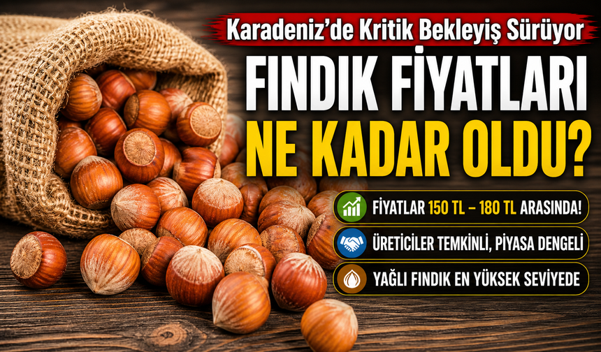 Fındık Fiyatları Dengede Kaldı! Karadeniz’de Kritik Bekleyiş Sürüyor