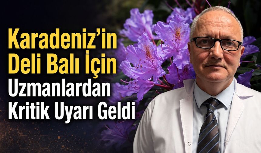 Karadeniz’in Deli Balı İçin Bilinçli Tüketim Uyarısı
