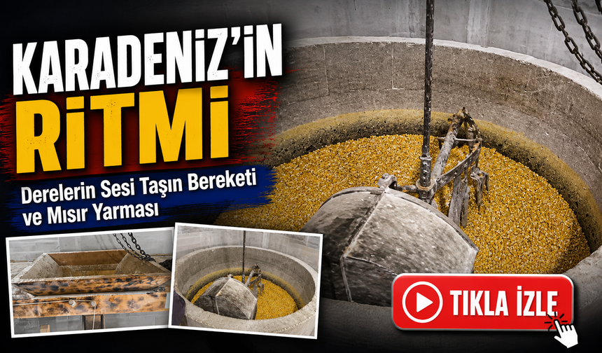 Derelerin Sesi Taşın Bereketi ve Mısır Yarması: Karadeniz’in ritmi