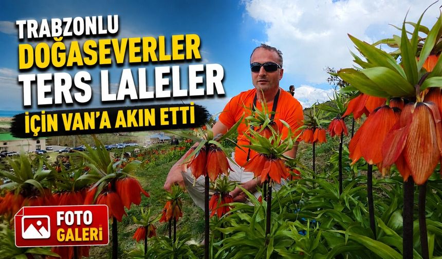 Trabzonlu Doğaseverler Ters Laleler İçin Van’a Akın Etti