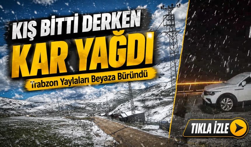 Trabzon Yaylaları Beyaza Büründü: Görenler Şaşkına Döndü