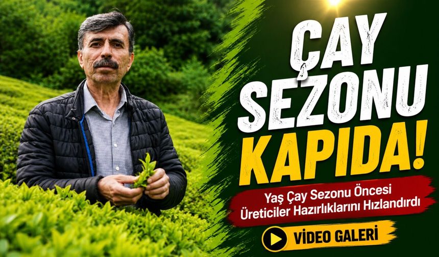 Yaş Çay Sezonu Öncesi Üreticiler Hazırlıklarını Hızlandırdı; “Kademeli Bir Çay Geçişi Olacağa Benziyor”