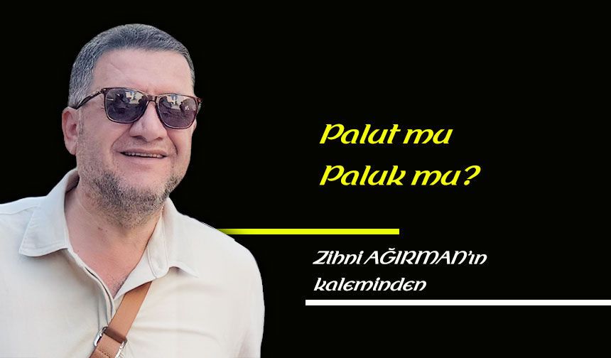 Palut mu Paluk mu?