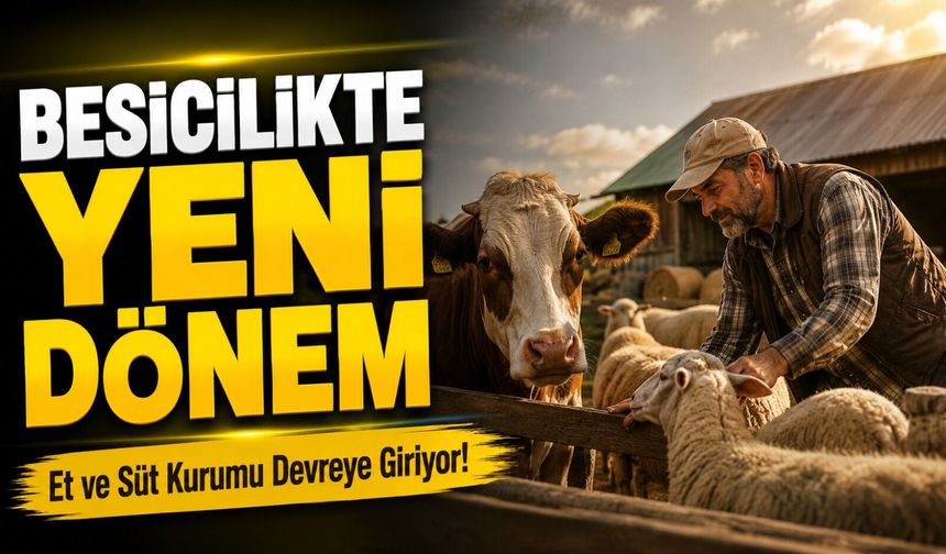 Besicilikte Gelir Garantili Yeni Dönem; Et ve Süt Kurumu Devreye Giriyor!