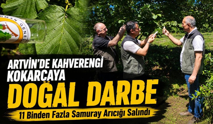 Artvin’de Kahverengi Kokarcaya Doğal Darbe: 11 Binden Fazla Samuray Arıcığı Salındı