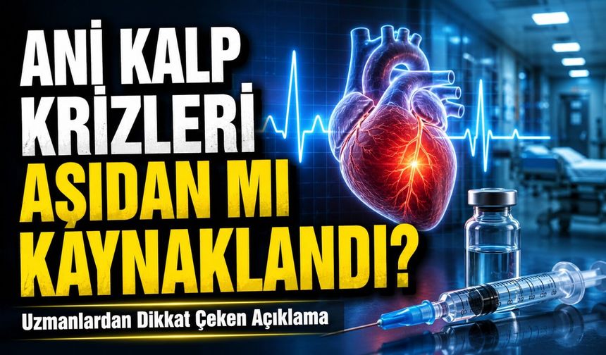Ani Kalp Krizleri Aşıdan mı Kaynaklandı? Uzmanlardan Dikkat Çeken Açıklama