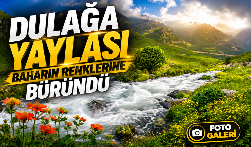 Gümüşhane’nin Torul İlçesindeki Dulağa Yaylası Çiçeklerle Kaplandı, Ziyaretçilerini Büyüledi