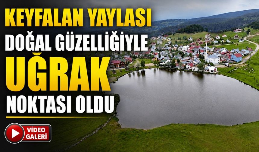 Ordu’nun 1200 Rakımlı Keyfalan Yaylası Yaz Sezonunda Ziyaretçilerini Ağırlıyor