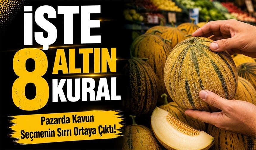 Kavun Alırken Bu Hataları Yapmayın! Tatlı ve Sulu Kavunu Seçmenin 8 Püf Noktası