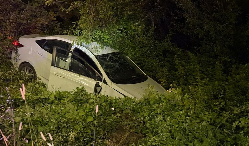 Hedeğe devrilen otomobildeki 2 kişi yaralandı