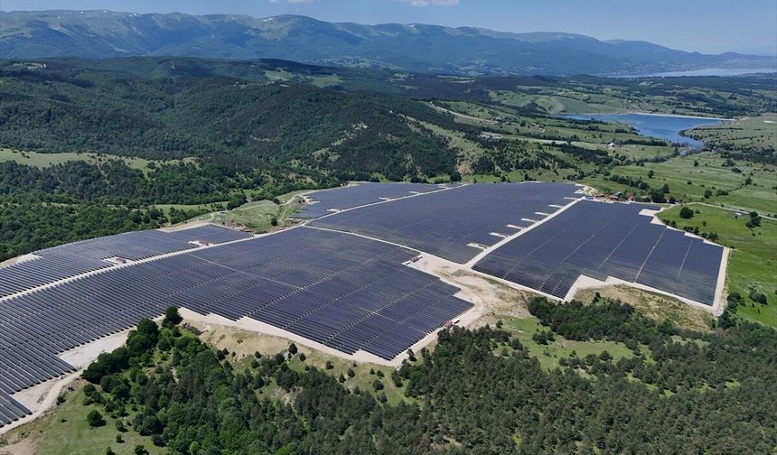 Samsun'da güneş enerjisi ile tıbbi aromatik bitki üretimi aynı alanda yapılacak