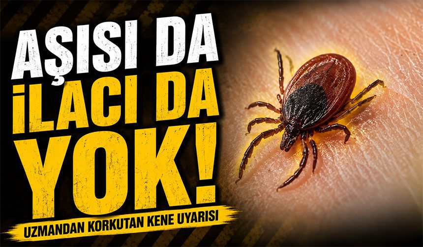 Kene Isırığını Fark Etmeyebilirsiniz: Uzmandan Hayati KKKA Uyarısı