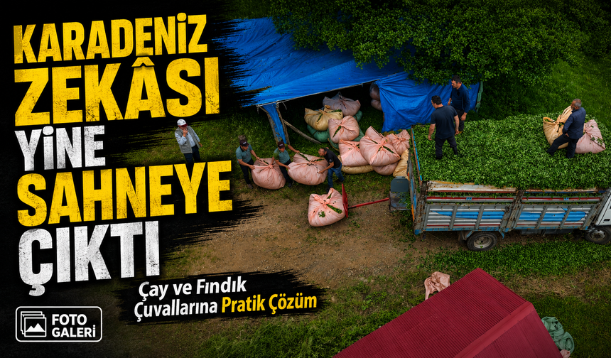 Karadeniz Zekâsı Yine Sahneye Çıktı: Çay ve Fındık Çuvallarına Pratik Çözüm