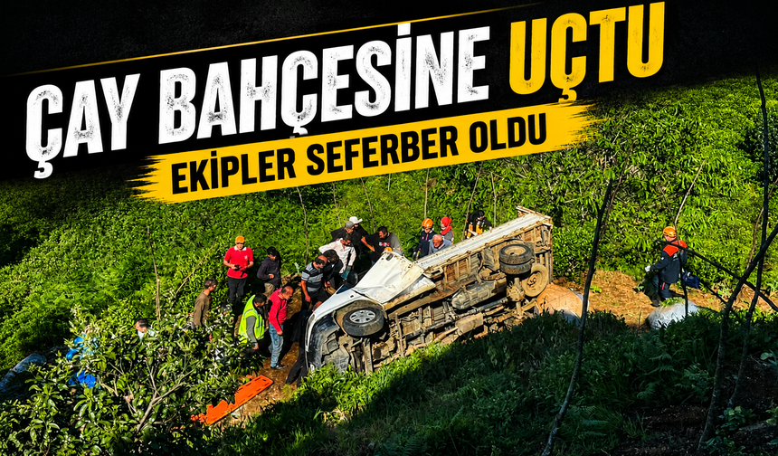 Çayeli’nde Korkutan Kaza: Çay Yüklü Kamyonet Bahçeye Uçtu