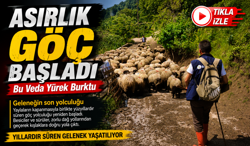 Eynesil’den Taşdibi Yaylası’na 7 Günlük Göç: Karadeniz’de Gelenek Yeniden Canlandı