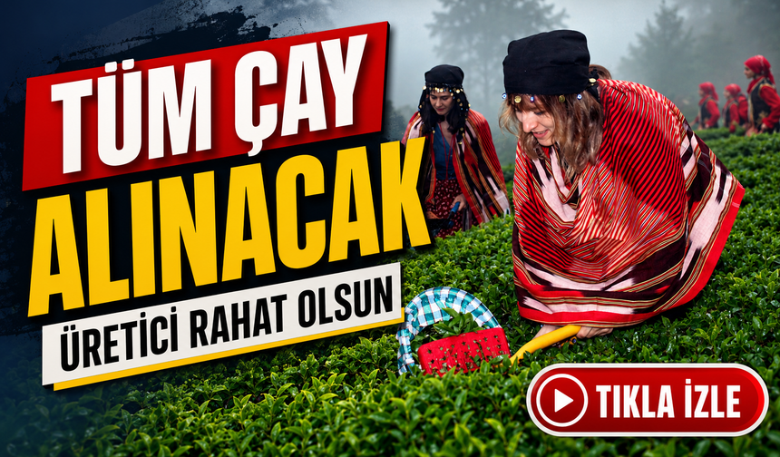 Çaykur’dan üreticiyi rahatlatan açıklama: Tüm yaş çay alınacak mı?