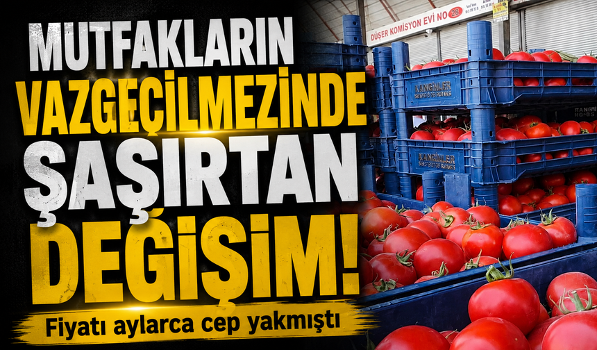 Domates Fiyatında Şaşırtan Düşüş: Kilosu Bakın Kaç TL Oldu!