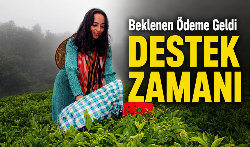 Çay Üreticileri İçin Kritik Ödeme Başladı: Bakan Yumaklı Duyurdu