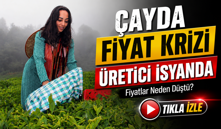 ÇAYKUR Kontenjanı Sonrası Yaş Çay Fiyatında Şok Düşüş