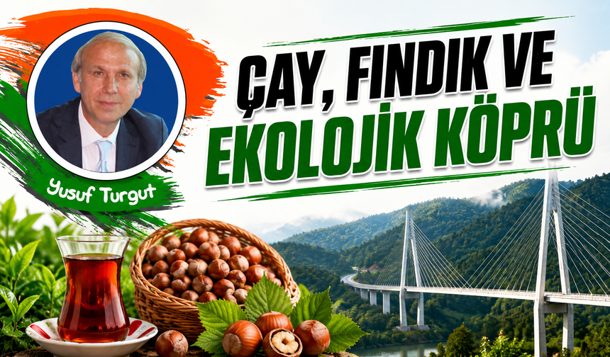 Çay, Fındık Ve Ekolojik Köprü