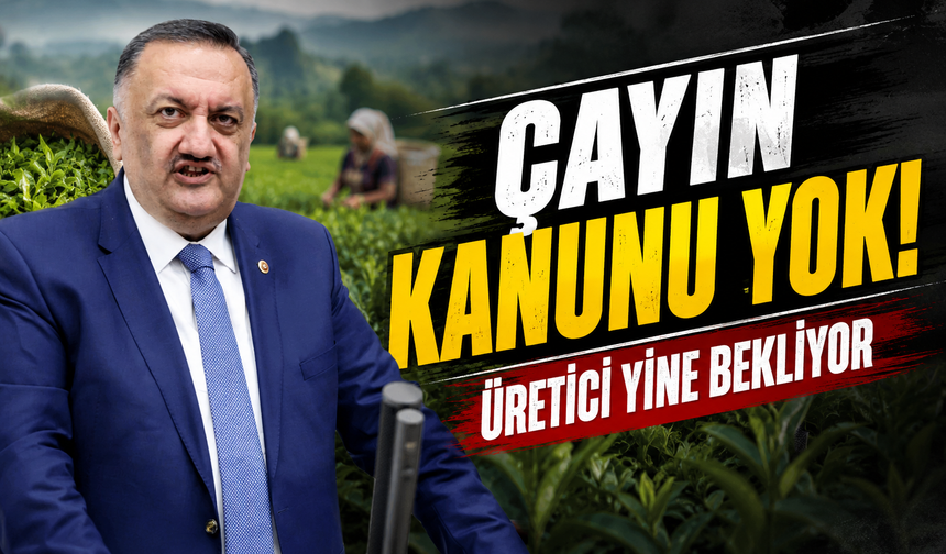 Hasan Karal’dan Çay Kanunu Çıkışı: Çay Üreticisinin Hakkı Korunmalı