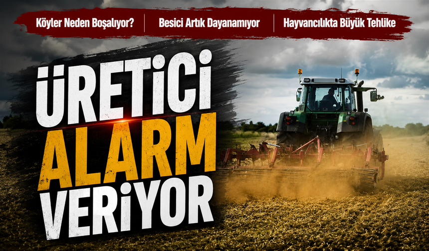 Hayvancılıkta Tehlike Büyüyor: Üretici Ayakta Kalma Mücadelesi Veriyor