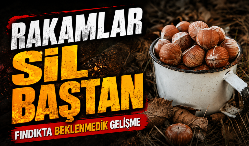 Fındık Piyasasında Beklenmedik Gelişme: Rakamlar Sil Baştan