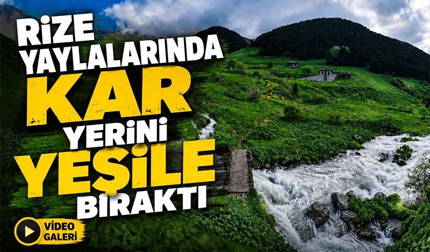 Rize Yaylalarında Beyaz Örtü Kalktı, Doğa Yeniden Yeşile Büründü