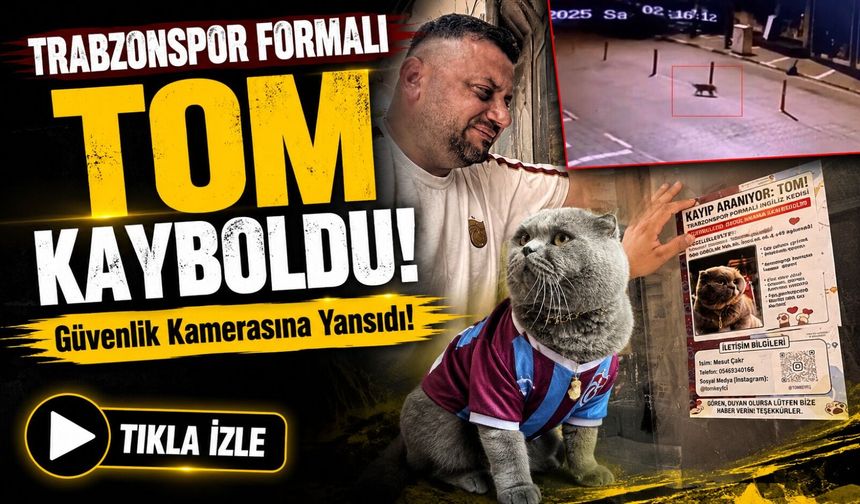 Trabzonspor Formalı Tom Kayboldu! Sahibi Gözyaşlarıyla Arıyor