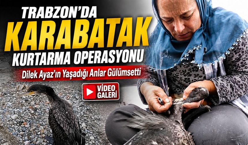 Trabzon’da Yaralı Karabatak Kurtarma Operasyonu Gülümsetti