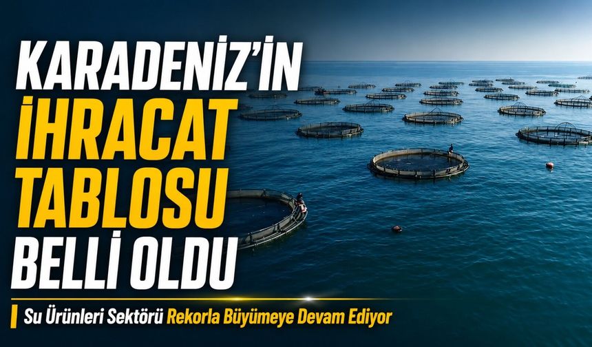 Karadeniz’in İhracat Tablosu Belli Oldu; Karadeniz Su Ürünleri Sektörü Büyümeye Devam Ediyor