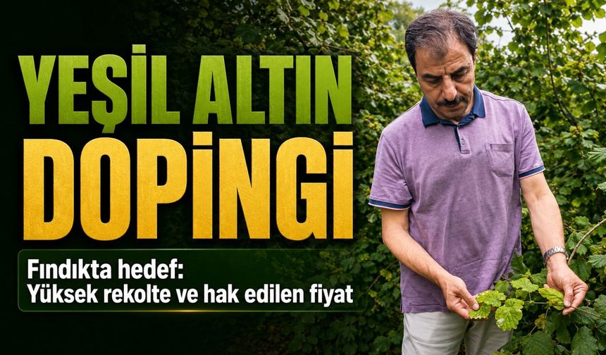 Fındıkta Yeni Sezon Beklentisi: Gözler Taban Fiyatta