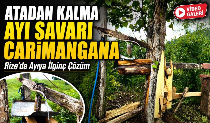 Rizelinin Atadan Kalma Ayı Savarı Carimangana Yeniden Kullanılıyor