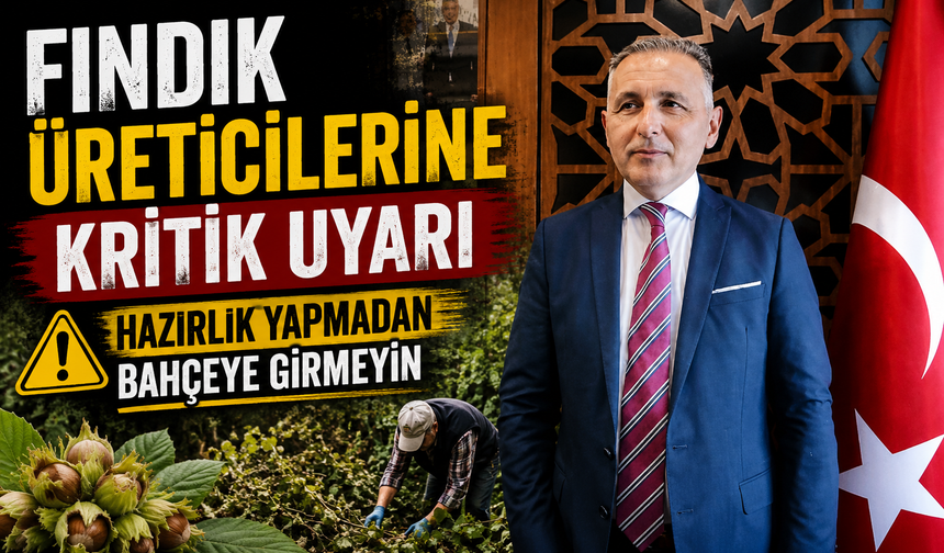 Fındık Üreticilerine Hasat Uyarısı: Hazırlık Yapmadan Bahçeye Girmeyin