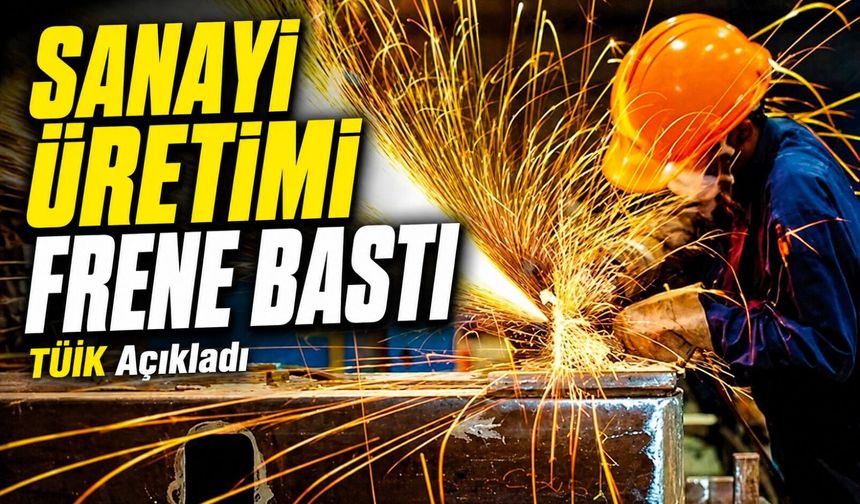 TÜİK Sanayi Üretim Verilerini Açıkladı: Sanayi Üretimi Frene Bastı