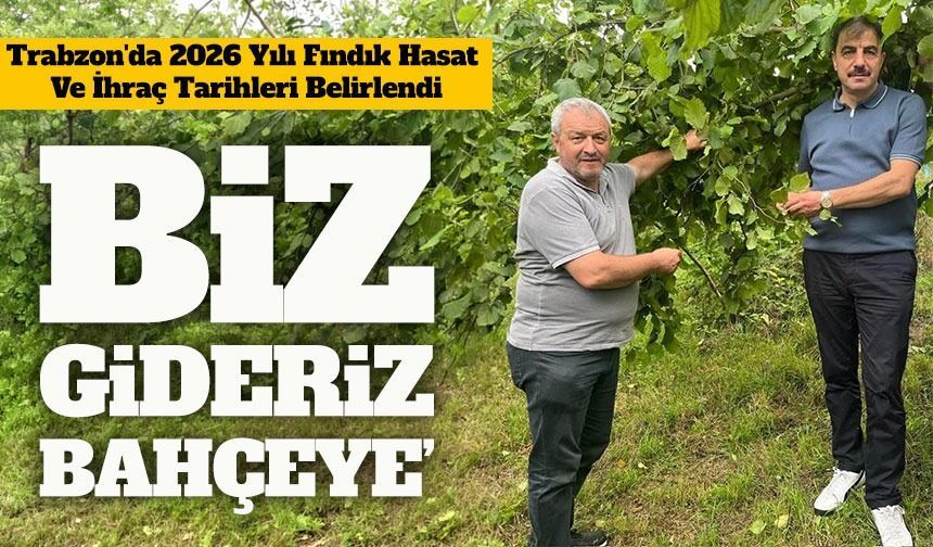 Trabzon’da 2026 Fındık Hasat Takvimi Açıklandı: Tarihler Belli Oldu