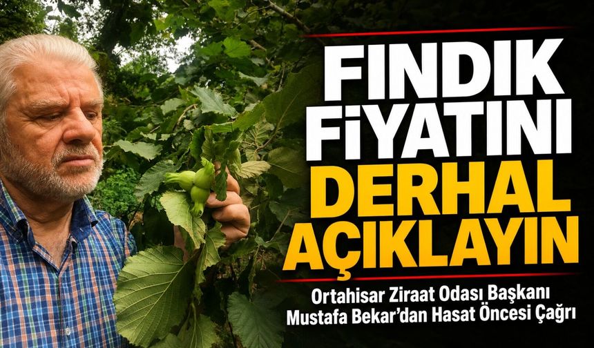 Bekar’dan Fındık Fiyatı Çağrısı: "Hasat Geldi Ses Yok, Fındık Fiyatını Derhal Açıklayın"