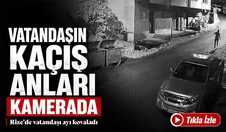 Rize’de Anne Ayı ve Yavrularıyla Karşılaştı: Kaçış Anları Kameraya Yansıdı