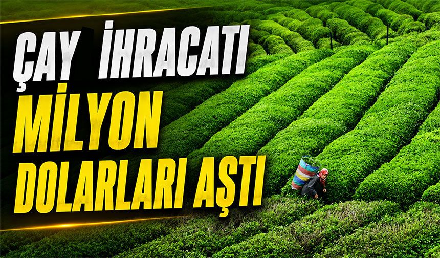 Türk Çayı İhracatı Yılın İlk Yarısında 17,5 Milyon Doları Aştı; 108 Ülke ve Bölgeye İhraç Edildi