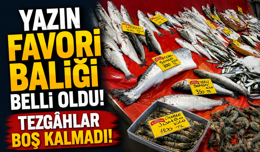 Av Yasağı Sürüyor, Tezgâhların Yaz Favorisi Belli Oldu