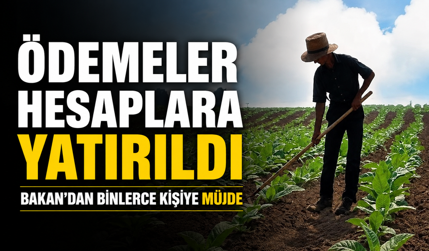 Ödemeler Hesaplara Yatırıldı: Bakan Yumaklı Binlerce Üreticiye Müjdeyi Verdi