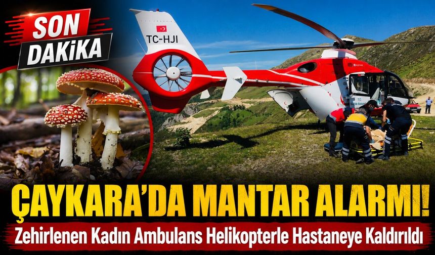 Çaykara’da Mantar Yiyen Kadın Rahatsızlandı: Ambulans Helikopterle Hastaneye Kaldırıldı