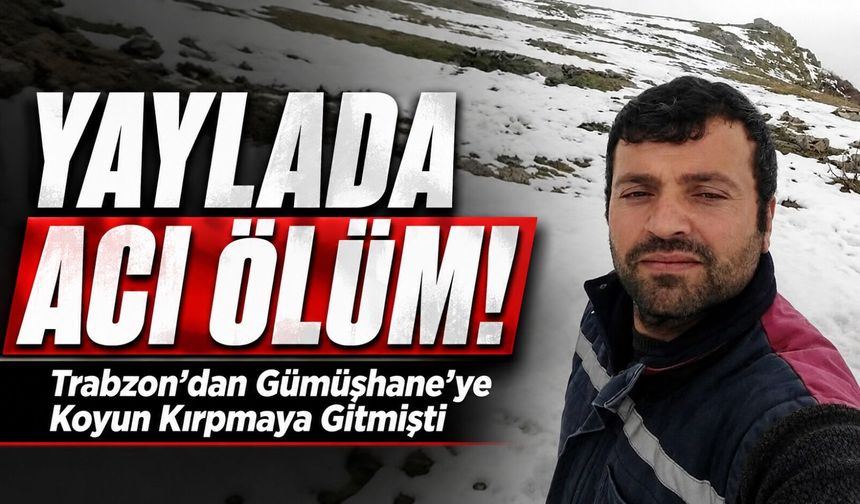 Yaylada Acı Ölüm: Trabzon’dan Gümüşhane'ye Koyun Kırpmaya Gitmişti