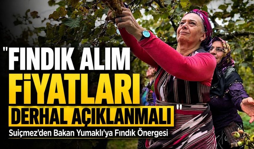 Suiçmez’den Bakan Yumaklı’ya Fındık Önergesi; “Fındık Alım Fiyatları Derhal Açıklanmalı”
