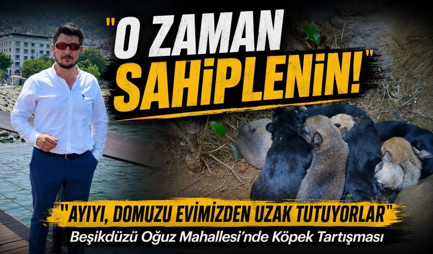 Beşikdüzü Oğuz’da Köpek Polemiği Büyüdü: Muhtardan “o Zaman Sahiplenin” Çıkışı