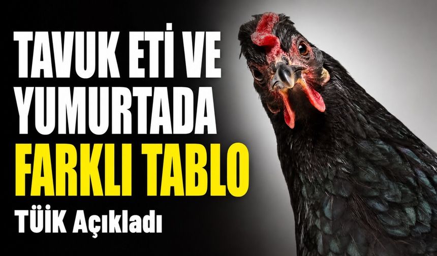 Tüik’in Mayıs Verileri Açıklandı: Tavuk Eti Ve Yumurtada Farklı Tablo