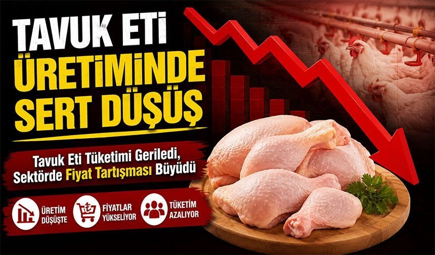 Vatandaşın Sofrasında Tavuk Eti Krizi: Tavuk Eti Tüketimi Geriledi, Sektörde Fiyat Tartışması Büyüdü